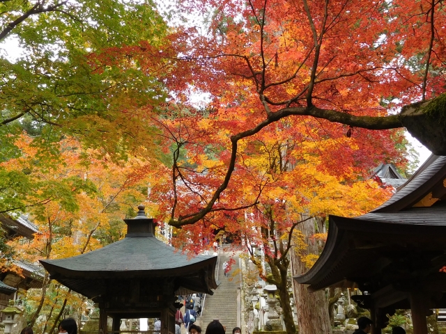 22373557_s 岐阜の秋を楽しもう♪