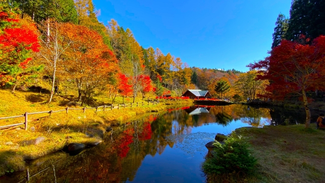 33320995_s 岐阜の秋を楽しもう♪