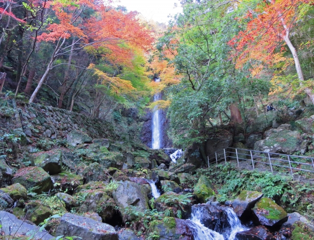 33700944_s 岐阜の秋を楽しもう♪