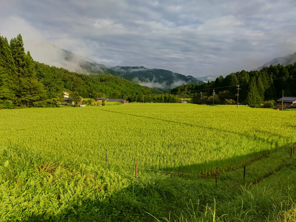 IMG_20220822_063832-1024x768 ７月に岐阜旅するなら